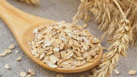 الشوفان.. زراعة واعدة في الجزائر