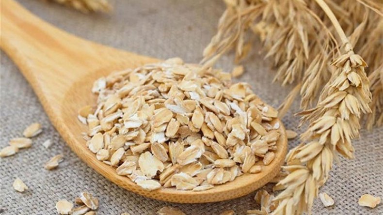 الشوفان.. زراعة واعدة في الجزائر