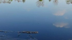 سقي المحاصيل بمياه الصرف الصحي.. توقيف 5 أشخاص ببسكرة  