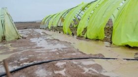 10 أيّام لتعويض الفلاحين المُتضرّرين من الجفاف والفيضانات