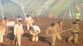 محيطات فلاحية قرب السجون لتكوين المحبوسين