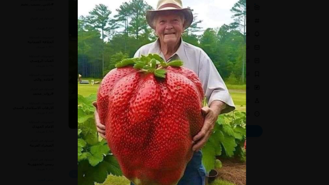 صورة أكبر فراولة في العالم تثير جدلا.. هذه حقيقتها!