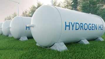 الثروة الخضراء