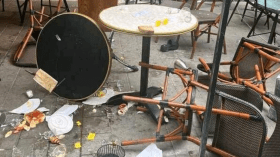 زبونة أثارت الذعر.. استنفار أمني بسبب صرصور بمقهى في تل أبيب!