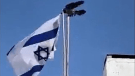 بالفيديو.. غراب ينتزع علم إسرائيل ويلقيه أرضا والعفاسي يعلق!