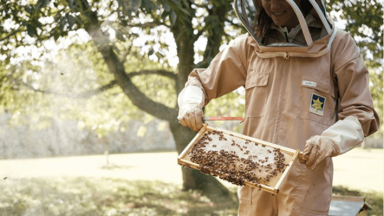 لهذا السبب ارتدت الأميرة كيت ميدلتون زي النحالين!