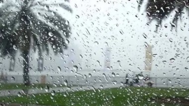 Des pluies orageuses atteignant 50 mm sur 16 wilayas