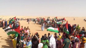 متضامنون عرب ينظمون ندوة حول القضية الصحراوية