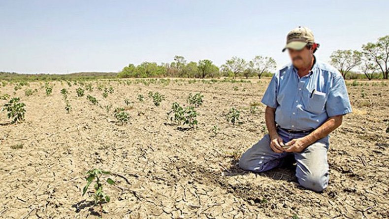 اقتراح حلول بديلة لإنقاذ المحاصيل الفلاحية من شح الأمطار