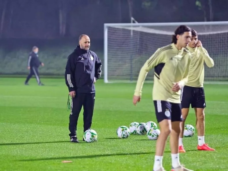 Les Verts: Belmadi dévoile sa liste pour les matchs contre l’Ouganda et la Tunisie