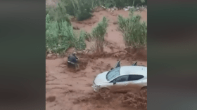 تفاعل كبير مع مقطع فيديو لأب ينقذ أسرته من السيول في تيبازة