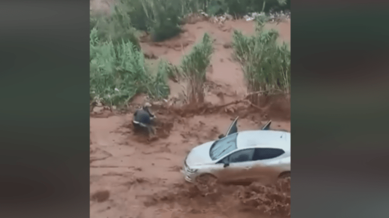 تفاعل كبير مع مقطع فيديو لأب ينقذ أسرته من السيول في تيبازة