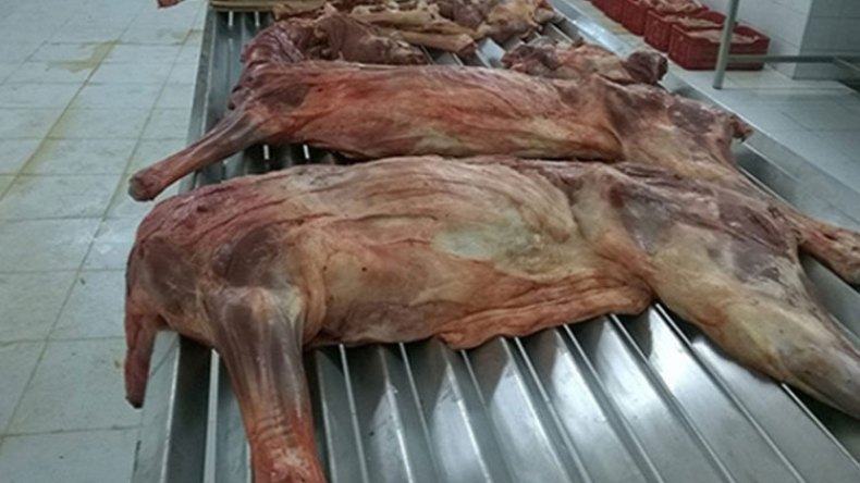 أخبار الجزائر ليوم الأحد 21 ماي 2023