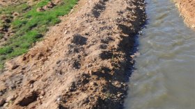 أخبار الجزائر ليوم الجمعة 05 ماي 2023