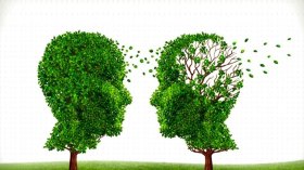 لماذا كان الاختلافُ ضروريًّا؟!