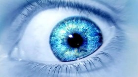 بل هو الحسد.. أيّها المداخلة!