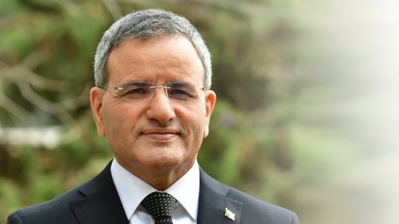 الجنايات الاستئنافية تدين علي غديري بـ6 سنوات