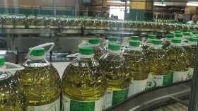 وزير الصناعة في “زيارة مفاجئة” إلى مصنع “المحروسة” لإنتاج الزيت