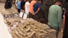 شرطة بشار تحجز قنطارين ونصف القنطار من المخدرات القادمة من المغرب