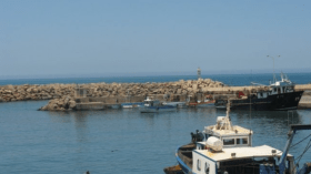 كل شيئ عن كيفية الاستفادة من المنحة الاستثنائية لصيادي تيبازة