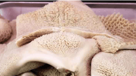 عروض على شبكات التواصل لتنظيف أضحية العيد وتجهيزها