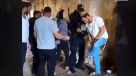 بالفيديو.. فلسطينية بشجاعة اللبؤة تحمي نفسها من اعتداء مستوطن