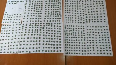 Un trésor archéologique découvert à Souk Ahras