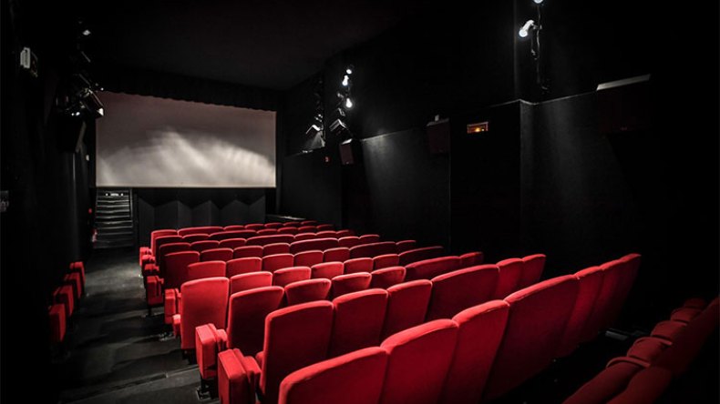 قطاع السينما كان ضحية التغييرات.. والقوانين وحدها لن تعيد للقطاع مجده