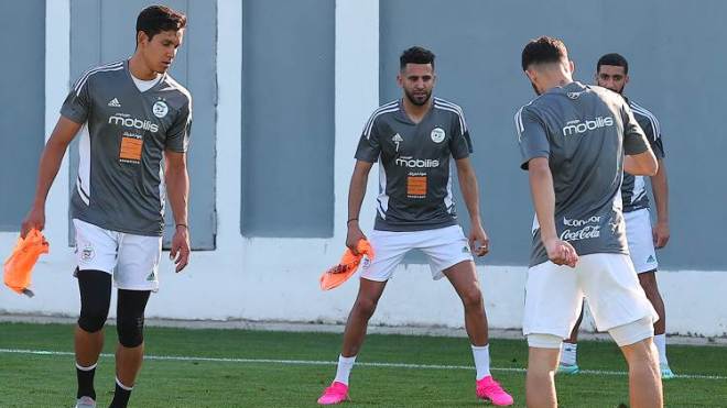 بِالفيديو: أوّل مران لِقائد “مُحاربي الصّحراء” وبطل أوروبا