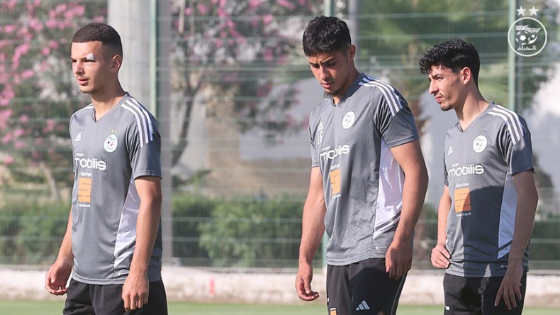 عوار وشعيبي وبوعناني يكتشفون أدغال إفريقيا لأول مرة