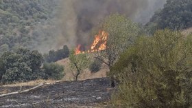 حملات تحسيسية واسعة لحماية الغابات من الحرائق