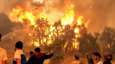 Life Imprisonment For People Involved in Deliberately Burning Forests