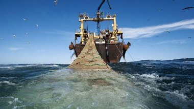 European Union Freezes Fisheries Agreement With Morocco