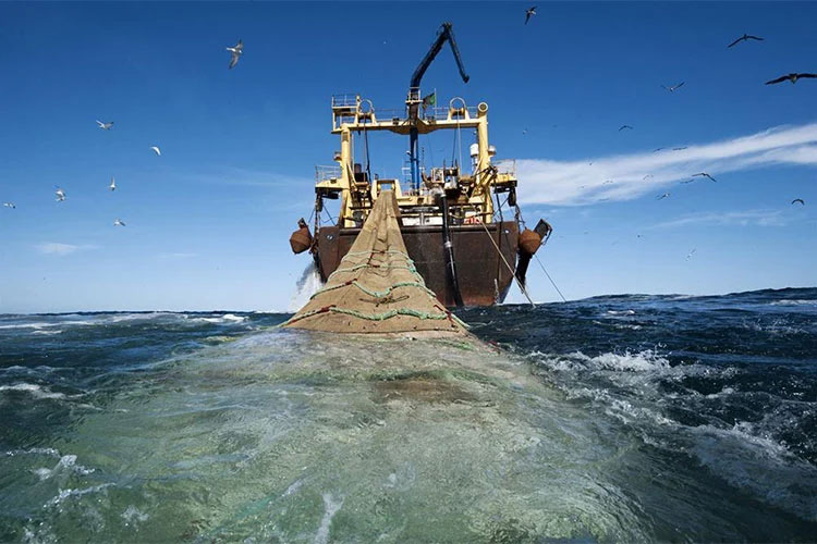 European Union Freezes Fisheries Agreement With Morocco