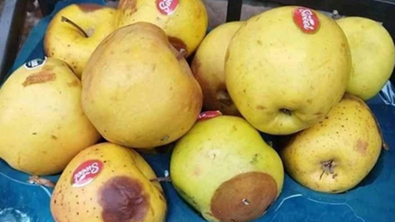 فساد وكساد الفاكهة عند التجار بسبب أسعارها المرتفعة
