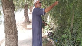 الحاج شايع أرزقي متطوع فوق العادة يعيد الحياة إلى أرصفة الشوارع