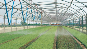 La société algérienne de régulation des produits agricoles « SARPA » est née