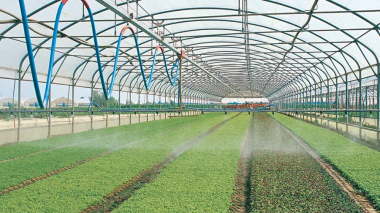 La société algérienne de régulation des produits agricoles « SARPA » est née