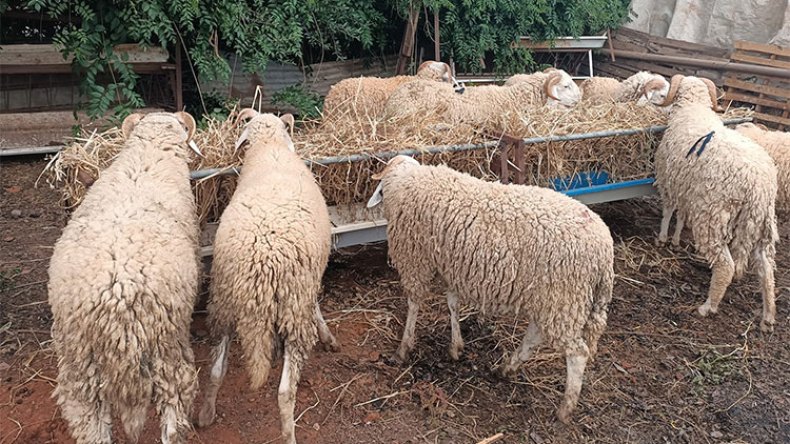 … تراجع الأسعار خلال 48 ساعة