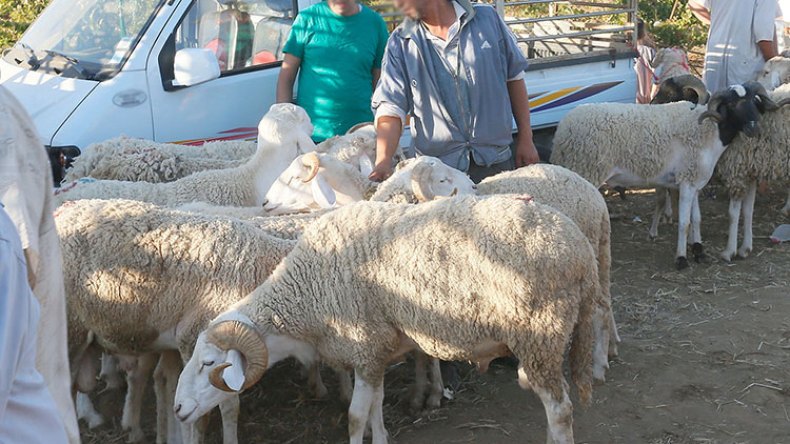 أئمة ينصحون بتجديد نية التقرب إلى الله في العيد