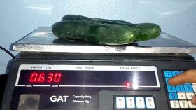 60 فرقة من المراقبين بالولايات لمحاربة السرقة في الميزان