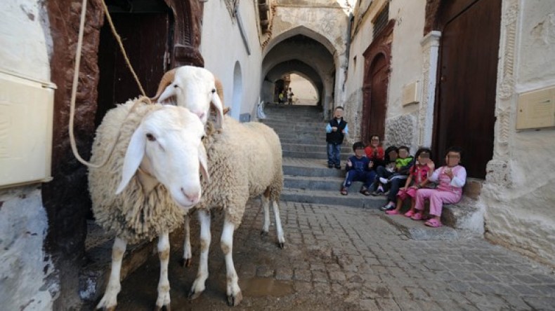 أعياد مملة والبرستيج يغلب السنة