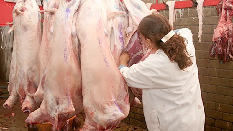 المذابح جاهزة لنحر أضاحي المواطنين