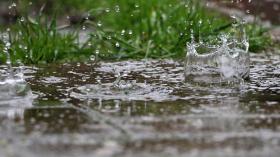 نشرية خاصة: أمطار رعدية عبر 11 ولاية