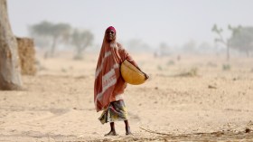 7 مخاطر تهدد الإقتصاد العالمي في حالة نشوب حرب في النيجر