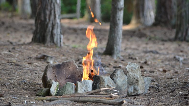 الداخلية: منع إشعال النار ومواقد الشواء بالغابات خلال هذه الفترة