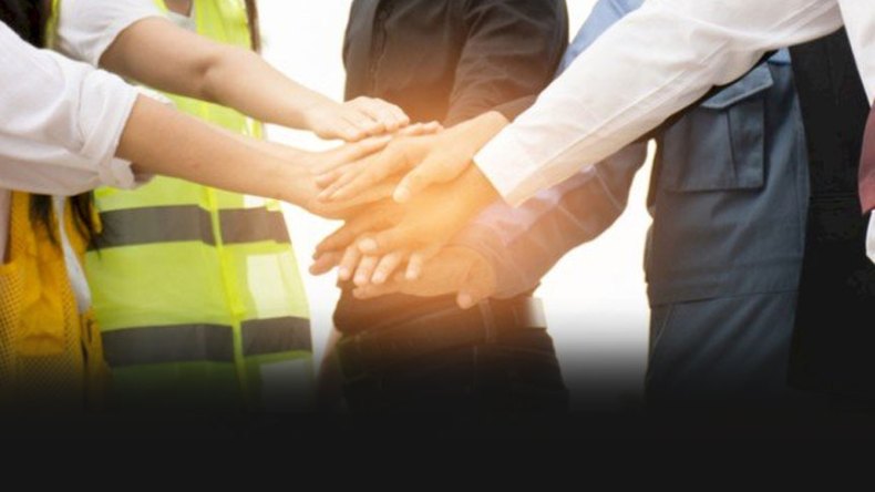 التنظيم النقابي بين النص والتطبيق