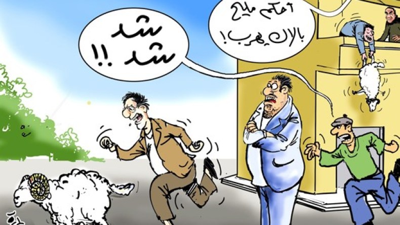 أضاحٍ تنتحر من الشرفات وأخرى تهرب يوم النحر