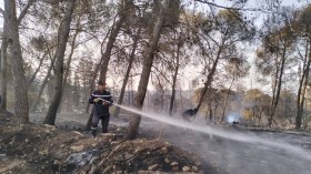 بالصور.. إخماد حريق غابة السبكتور بسيدي بلعباس نهائيا  