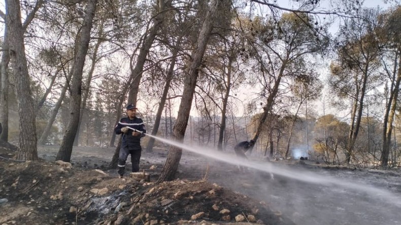 بالصور.. إخماد حريق غابة السبكتور بسيدي بلعباس نهائيا  